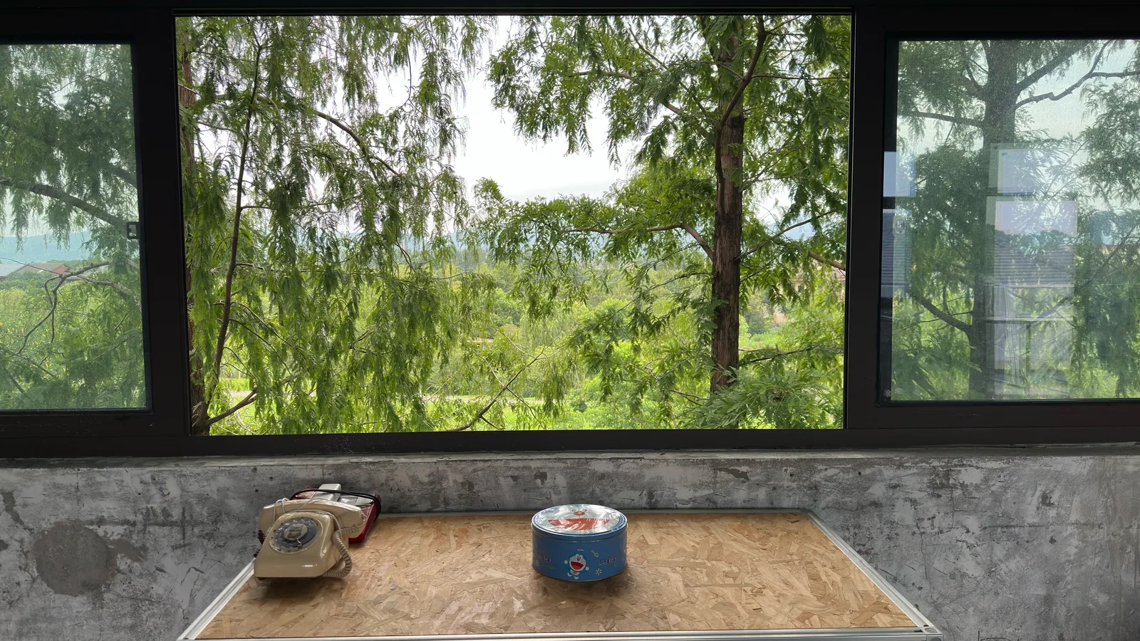 A cleared workbench under a wide window full of green trees, with only a rotary telephone and a round tin left on it